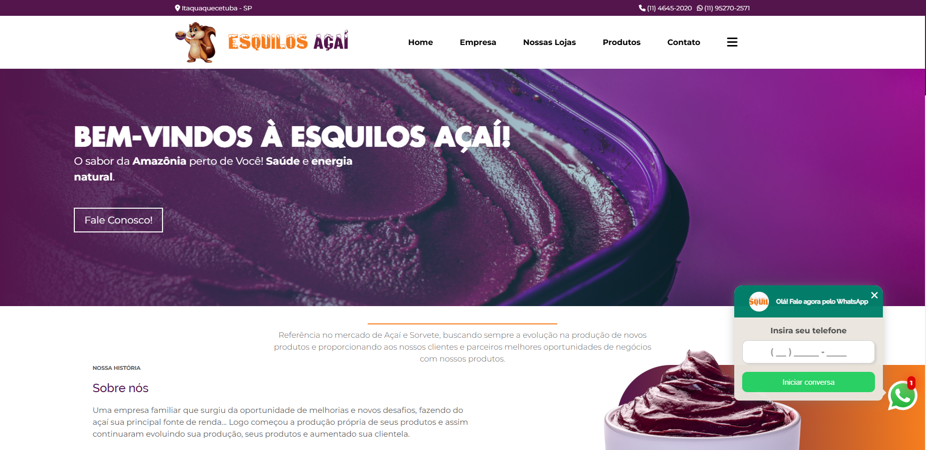 Logo do projeto Esquilos Açaí